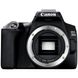 Дзеркальний фотоапарат Canon EOS 250D body (3454C001) 17708281 фото 1