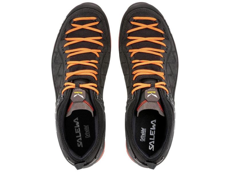 Кросівки чоловічі Salewa MS MTN TRAINER 2 GTX 61356 0933 45 чорний (013.001.4289) 2600926 фото