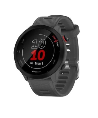 Спортивний годинник Garmin Forerunner 55 Monterra Grey (010-02562-13) Forerunner 55 Monterra Grey (010-02562-13) фото