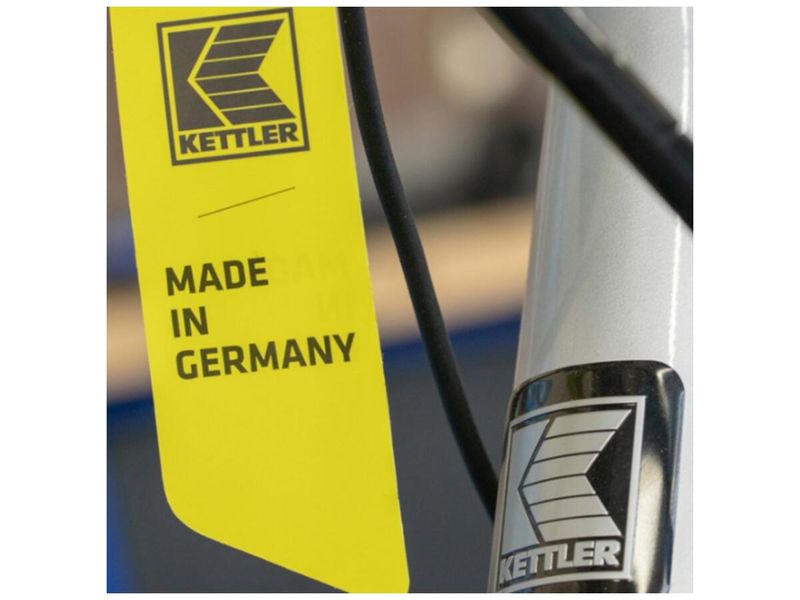 Електричний велосипед KETTLER TRAVELER E-GOLD 8 розмір S (4387) 3693088 фото